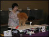 Austin Cat Fanciers 2003 show