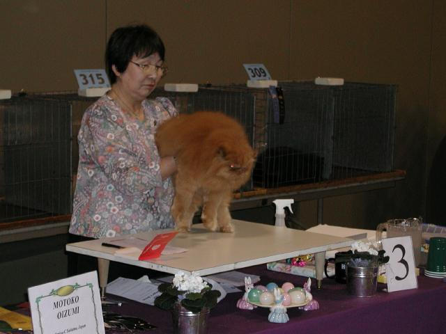 Austin Cat Fanciers 2003 show
