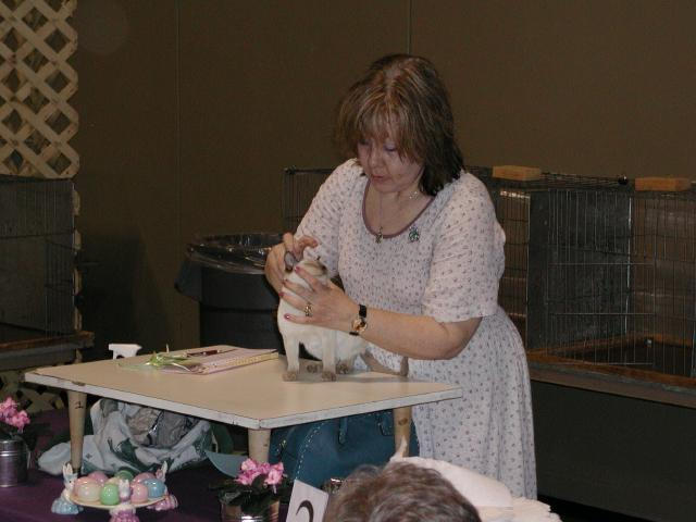 Austin Cat Fanciers 2003 show