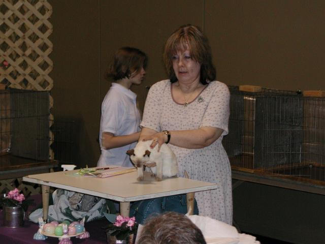 Austin Cat Fanciers 2003 show
