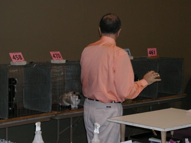 Austin Cat Fanciers 2003 show