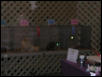 Austin Cat Fanciers 2003 show