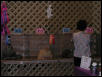 Austin Cat Fanciers 2003 show