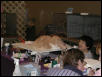 Austin Cat Fanciers 2003 show