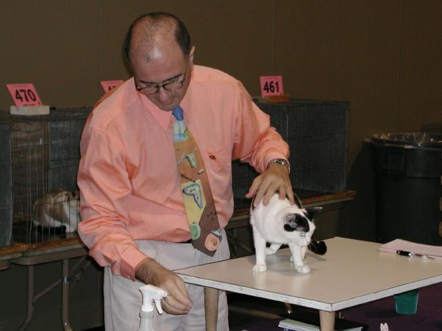 Austin Cat Fanciers 2003 show