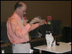 Austin Cat Fanciers 2003 show