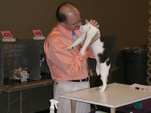 Austin Cat Fanciers 2003 show
