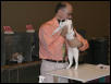 Austin Cat Fanciers 2003 show