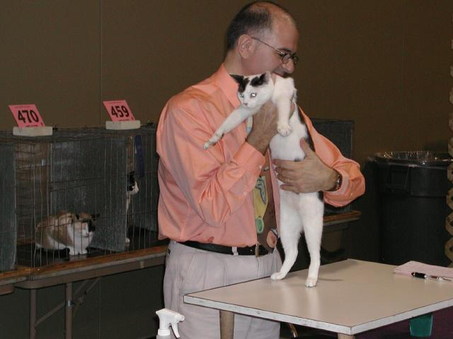 Austin Cat Fanciers 2003 show