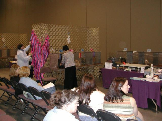 Austin Cat Fanciers 2003 show