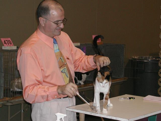 Austin Cat Fanciers 2003 show