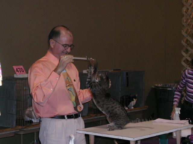 Austin Cat Fanciers 2003 show