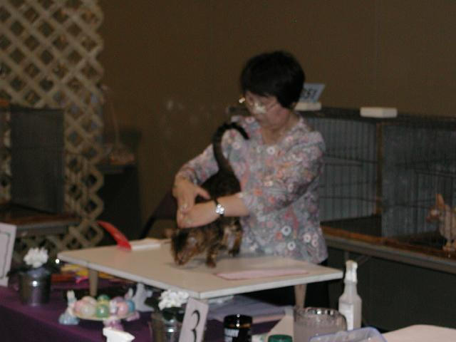 Austin Cat Fanciers 2003 show