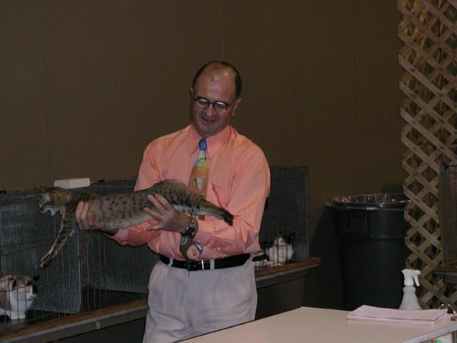 Austin Cat Fanciers 2003 show