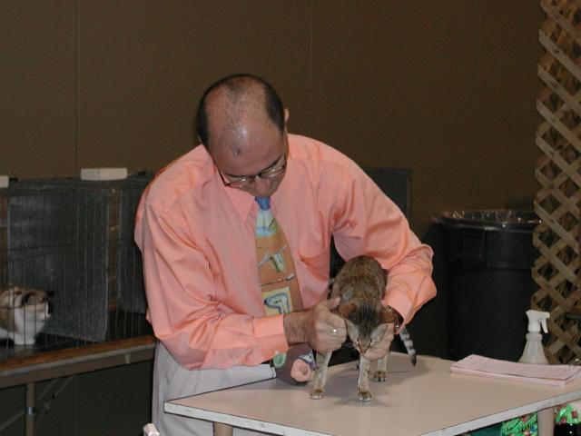 Austin Cat Fanciers 2003 show
