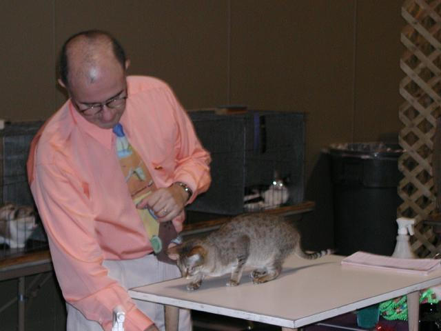Austin Cat Fanciers 2003 show