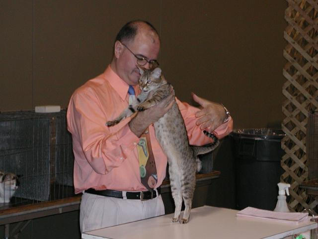 Austin Cat Fanciers 2003 show