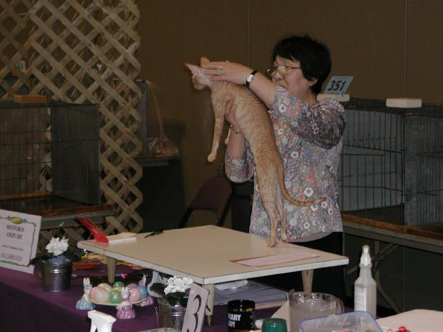 Austin Cat Fanciers 2003 show