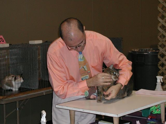 Austin Cat Fanciers 2003 show