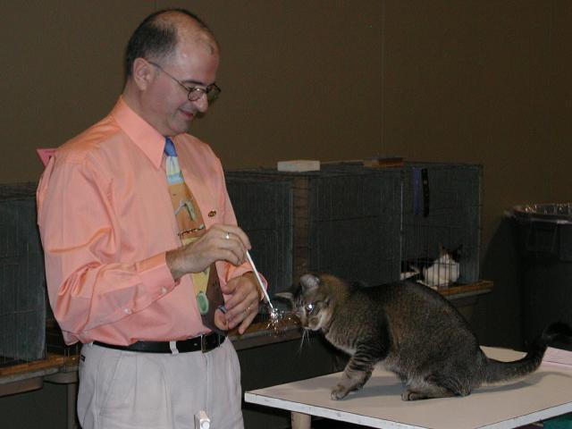 Austin Cat Fanciers 2003 show