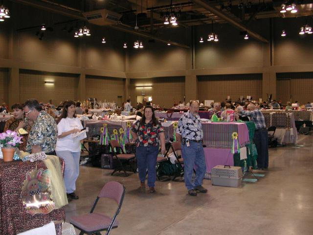 Austin Cat Fanciers 2003 show
