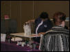 Austin Cat Fanciers 2003 show