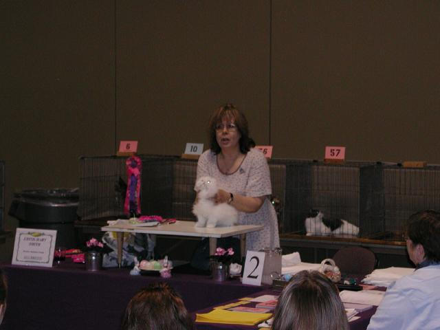 Austin Cat Fanciers 2003 show