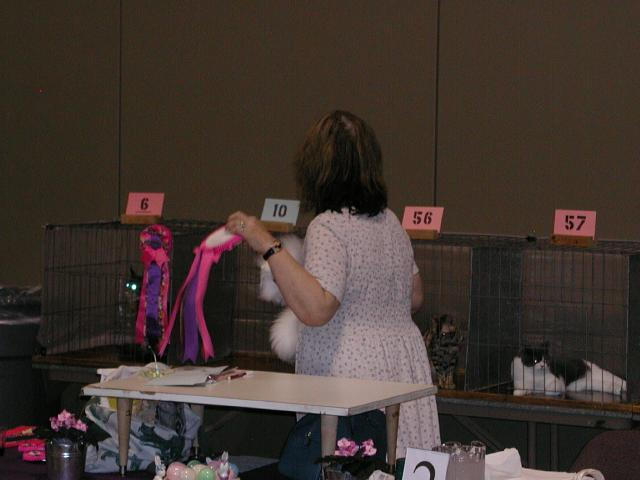 Austin Cat Fanciers 2003 show