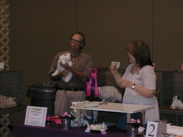 Austin Cat Fanciers 2003 show
