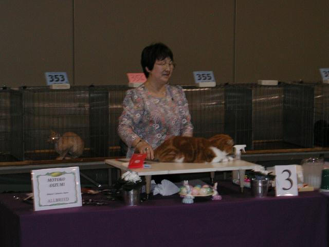 Austin Cat Fanciers 2003 show