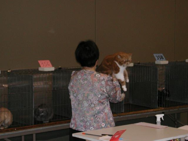 Austin Cat Fanciers 2003 show