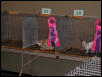 Austin Cat Fanciers 2003 show
