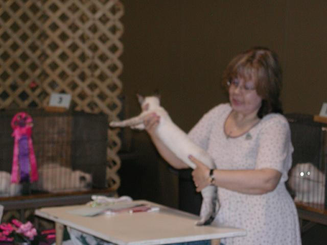 Austin Cat Fanciers 2003 show
