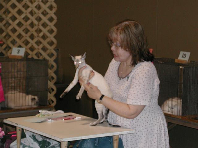 Austin Cat Fanciers 2003 show