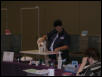 Austin Cat Fanciers 2003 show