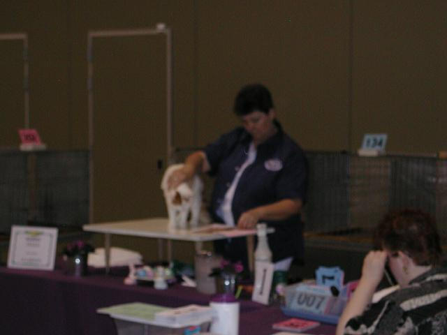 Austin Cat Fanciers 2003 show