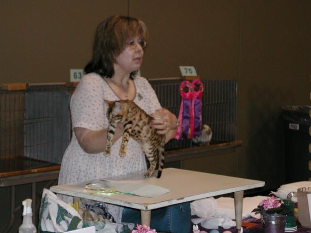 Austin Cat Fanciers 2003 show