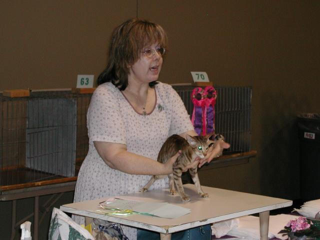 Austin Cat Fanciers 2003 show