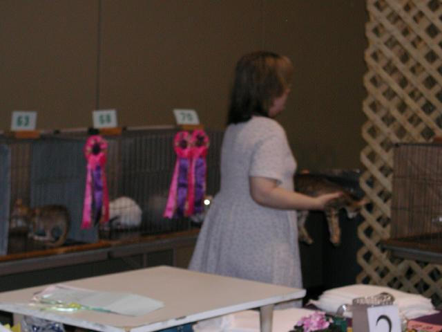 Austin Cat Fanciers 2003 show