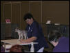 Austin Cat Fanciers 2003 show