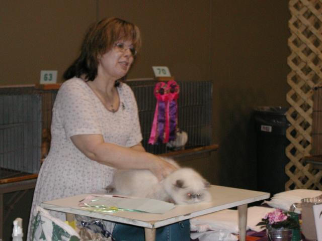 Austin Cat Fanciers 2003 show