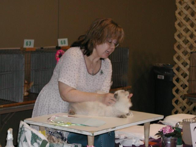 Austin Cat Fanciers 2003 show