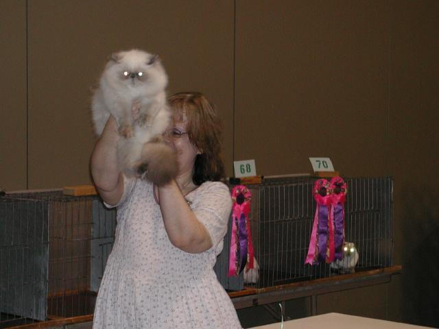 Austin Cat Fanciers 2003 show
