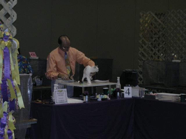 Austin Cat Fanciers 2003 show