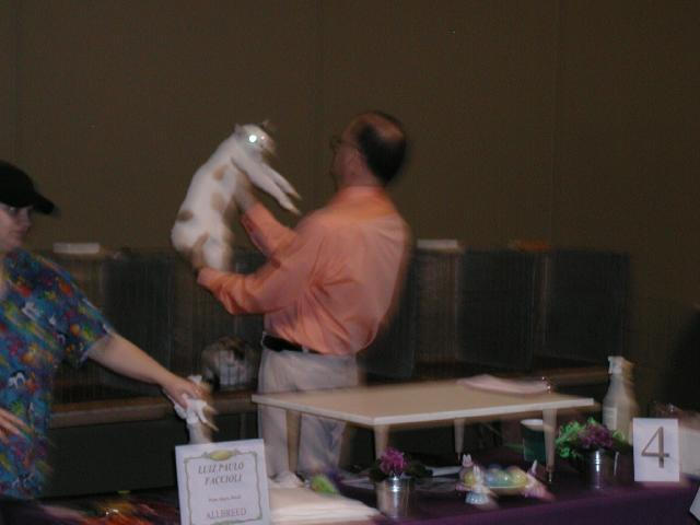 Austin Cat Fanciers 2003 show