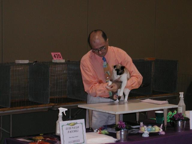 Austin Cat Fanciers 2003 show
