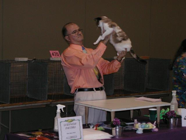 Austin Cat Fanciers 2003 show