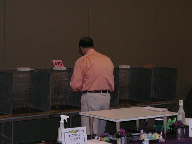 Austin Cat Fanciers 2003 show