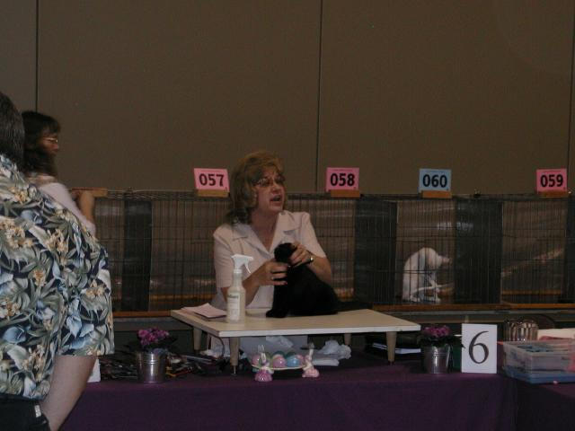 Austin Cat Fanciers 2003 show