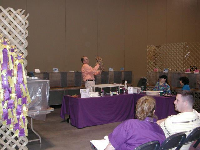 Austin Cat Fanciers 2003 show